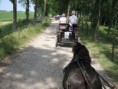 /album/menrit-04-06-2011/zeeuwse-menrit-juni-2011-028-jpg/